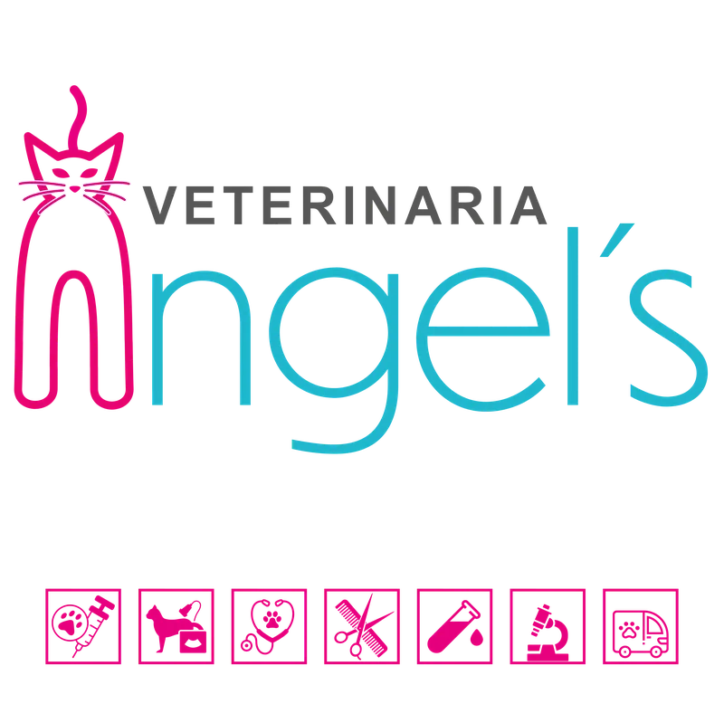 Veterinaria Ángel's